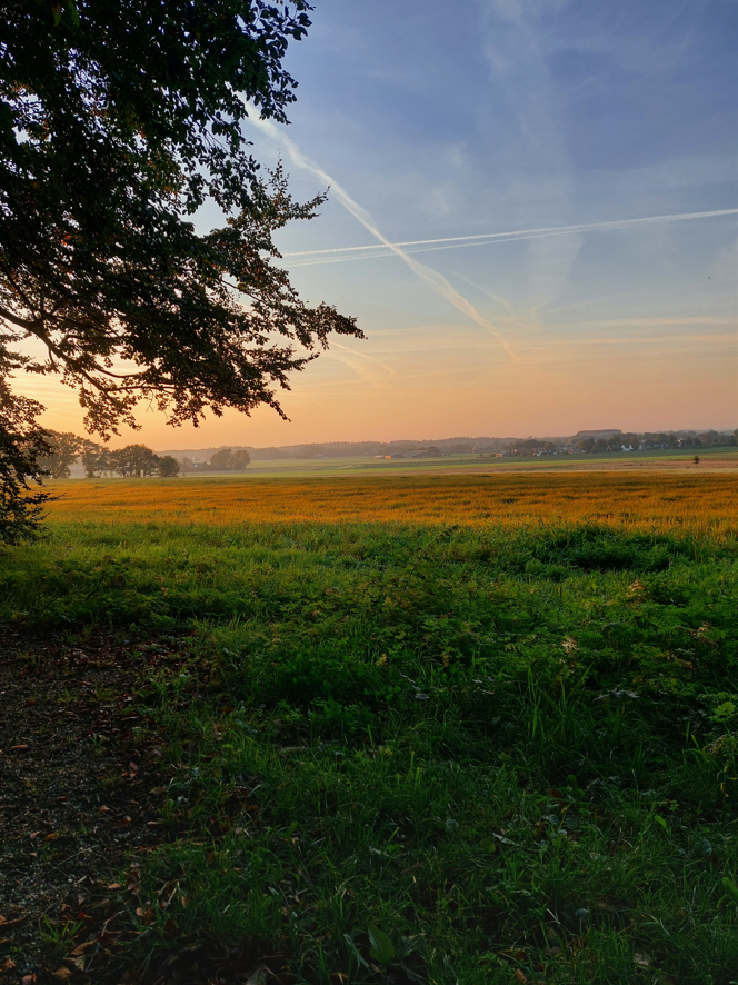 Wandeling